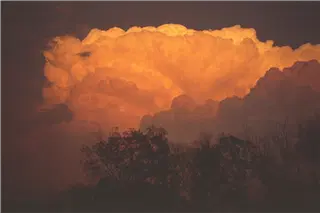 small_9508 0523 co paefIMG0024.webp